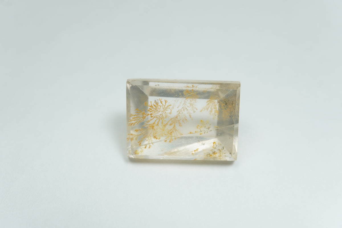 13.21ct Dendrite 16.5x12mm