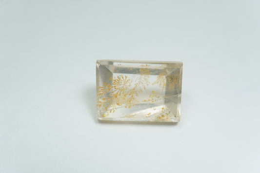 13.21ct Dendrite 16.5x12mm