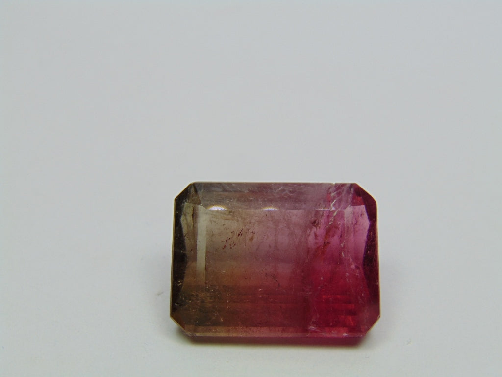 27.60ct Tourmaline Bicolor 21x16mm