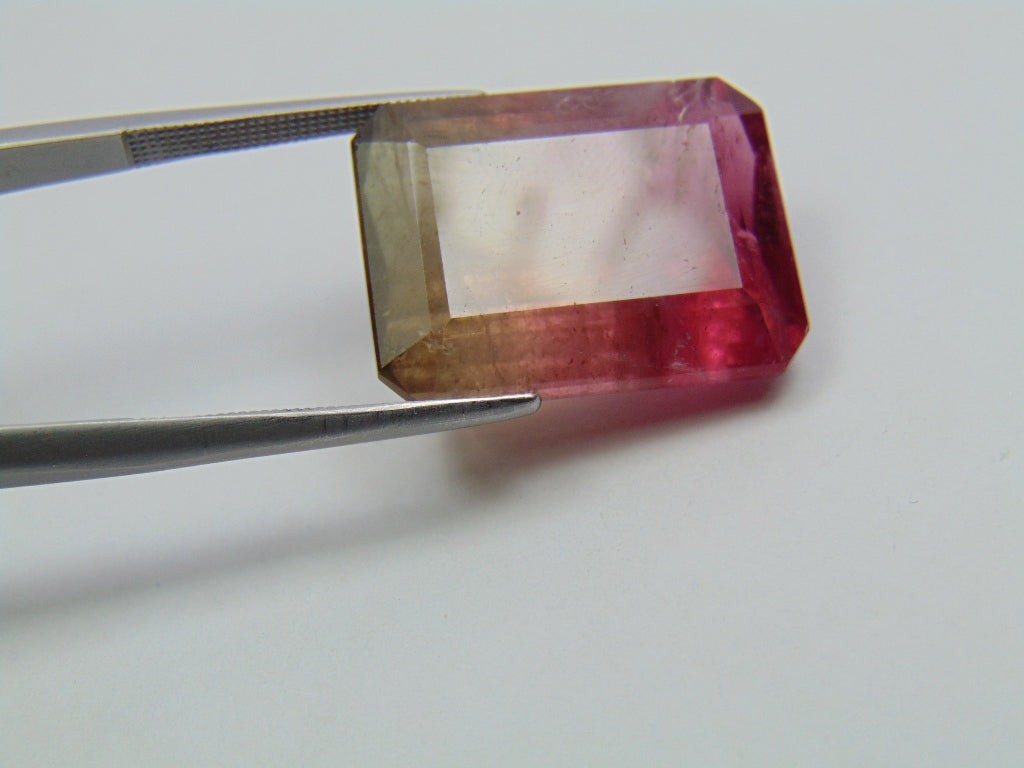 27.60ct Tourmaline Bicolor 21x16mm