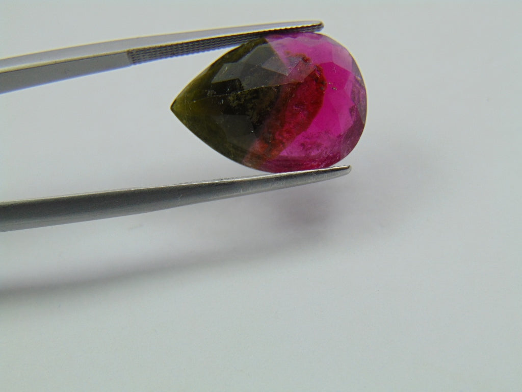 9.95ct Tourmaline Bicolor 18x13mm