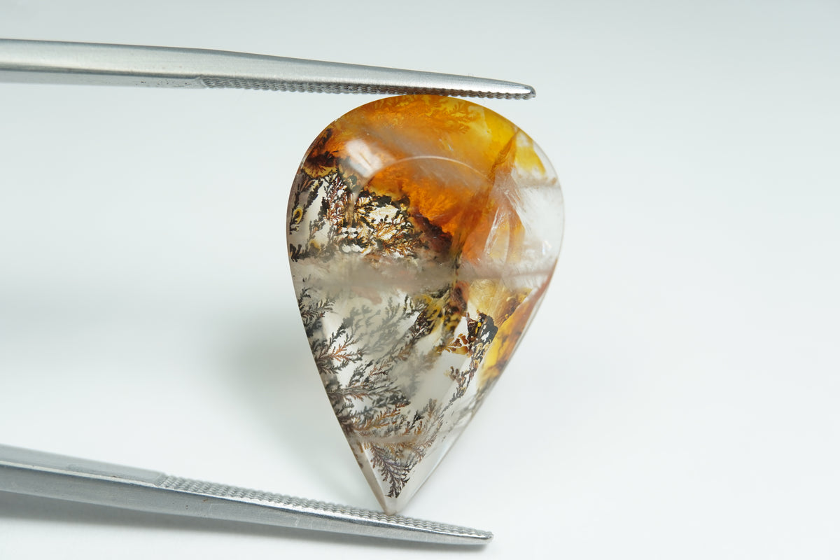 12.78ct Dendrite 24x16mm