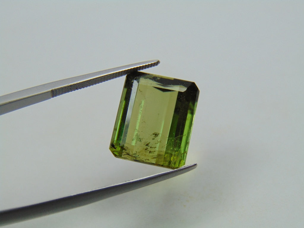 11.75ct Tourmaline 14x12mm