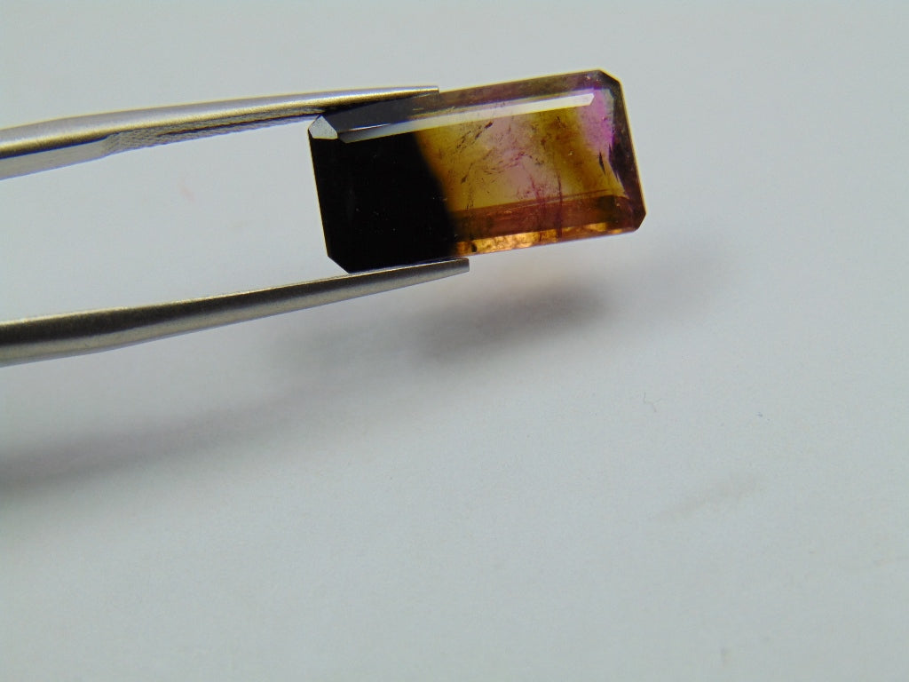 5.45ct Tourmaline Bicolor 17x9mm