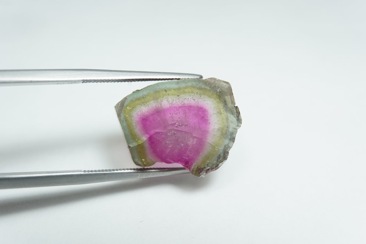 13.53ct Watermelon tourmaline 19x14mm