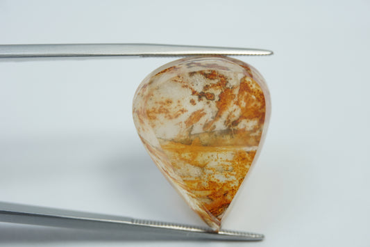 22.15ct Dendrite 25x19mm