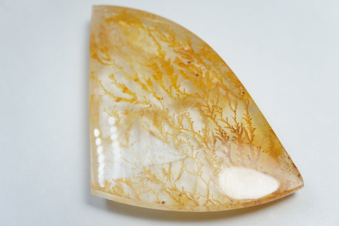 109.30ct Dendrite 55x47mm