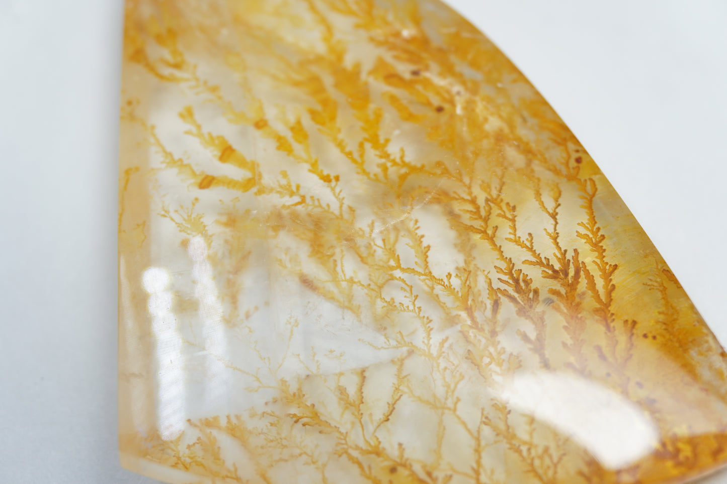 109.30ct Dendrite 55x47mm