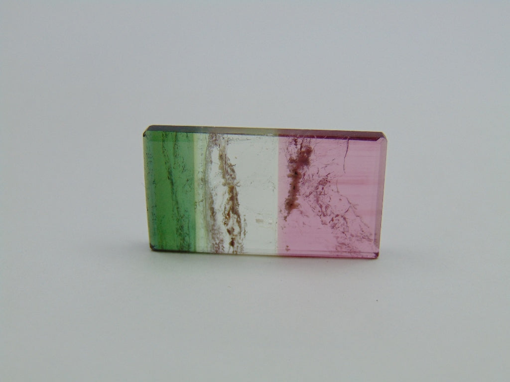 15.60ct Tourmaline Bicolor 20x15mm