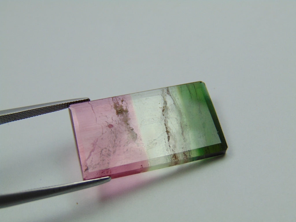 15.60ct Tourmaline Bicolor 20x15mm