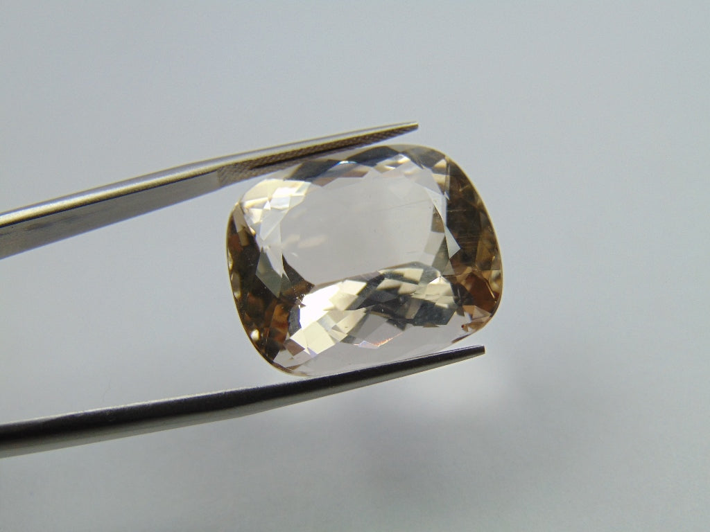 32.95ct Morganite 22x19mm