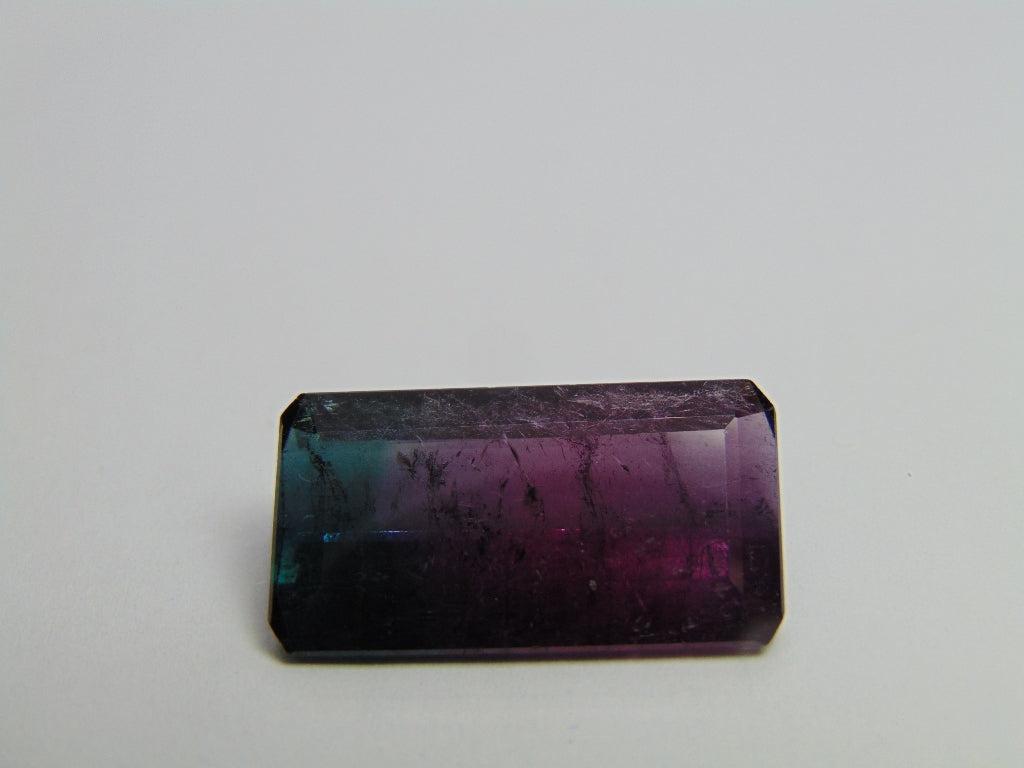 20.35ct Tourmaline Bicolor 24x13mm