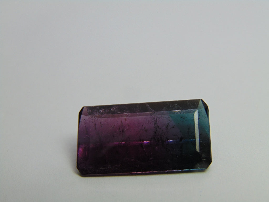 20.35ct Tourmaline Bicolor 24x13mm