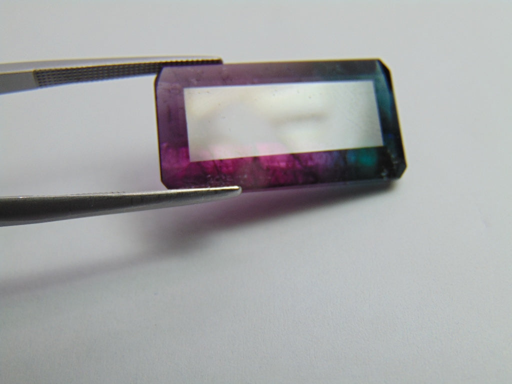 20.35ct Tourmaline Bicolor 24x13mm