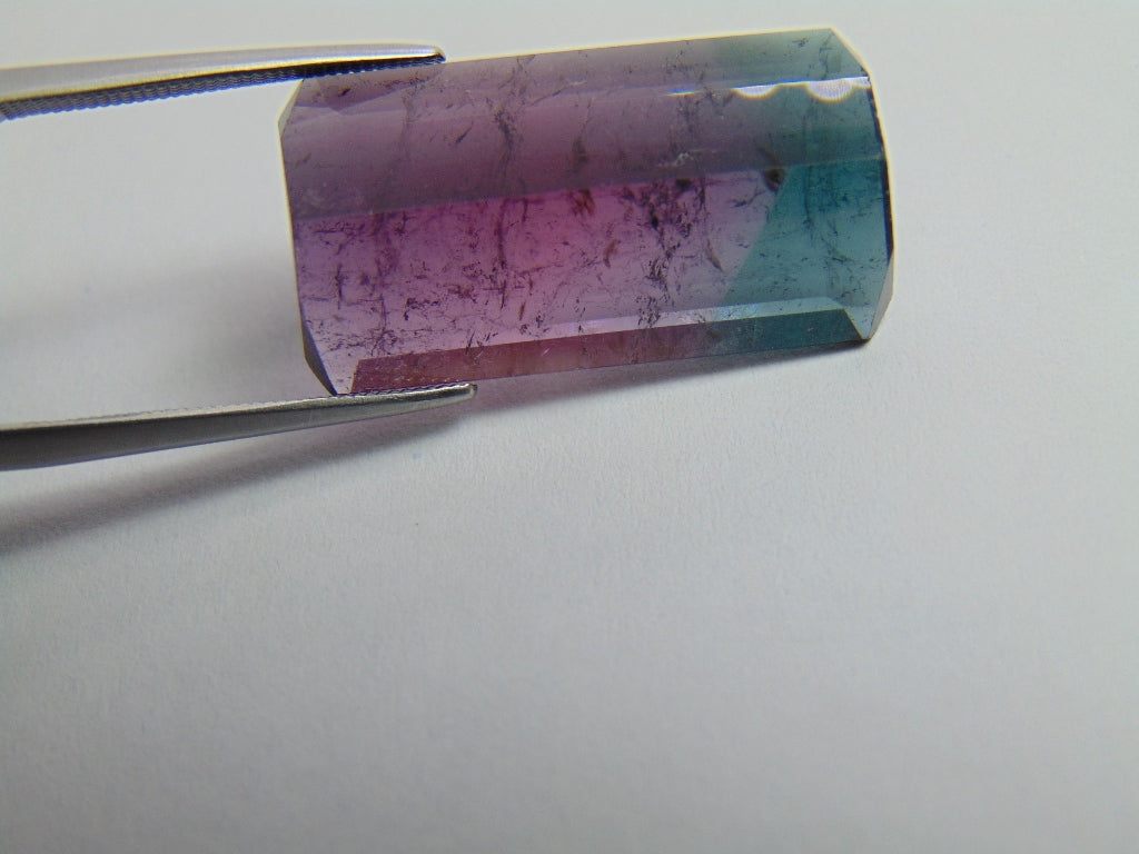 20.35ct Tourmaline Bicolor 24x13mm