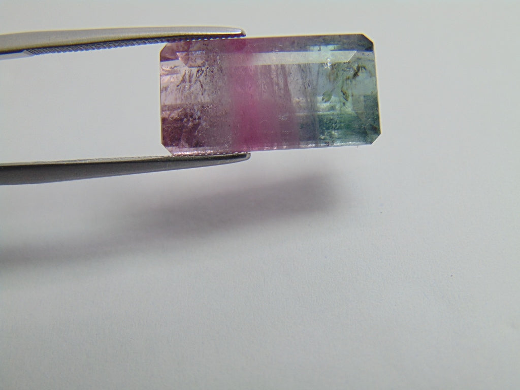 11ct Tourmaline Bicolor 18x9mm