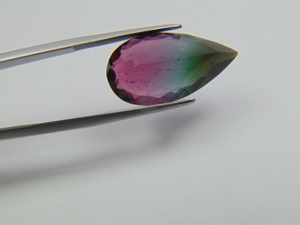 10.70ct Tourmaline Bicolor 23x12mm