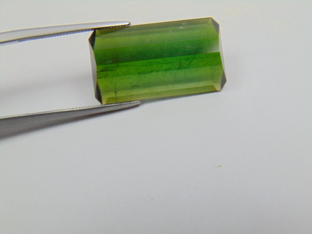 13.60ct Tourmaline 21x12mm