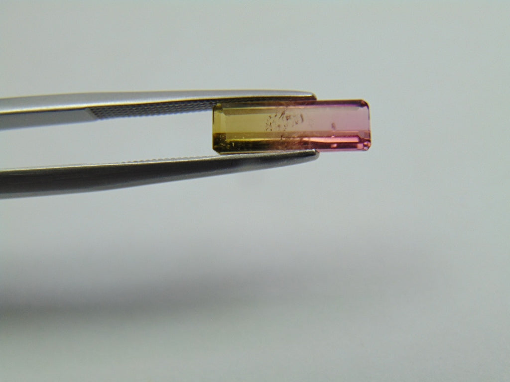 1.45ct Tourmaline Bicolor 10x4mm