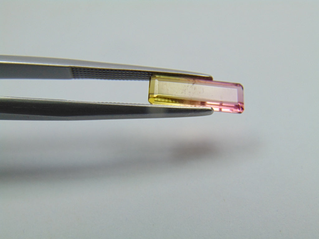 1.45ct Tourmaline Bicolor 10x4mm