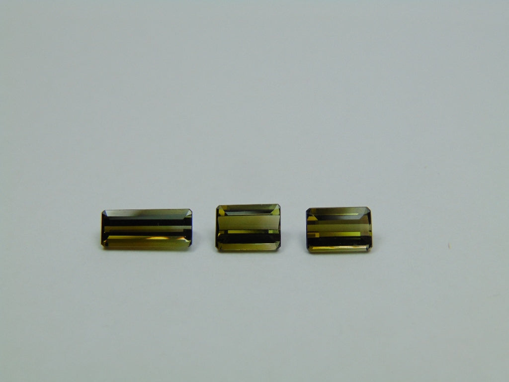 3.25ct Tourmaline Bicolor