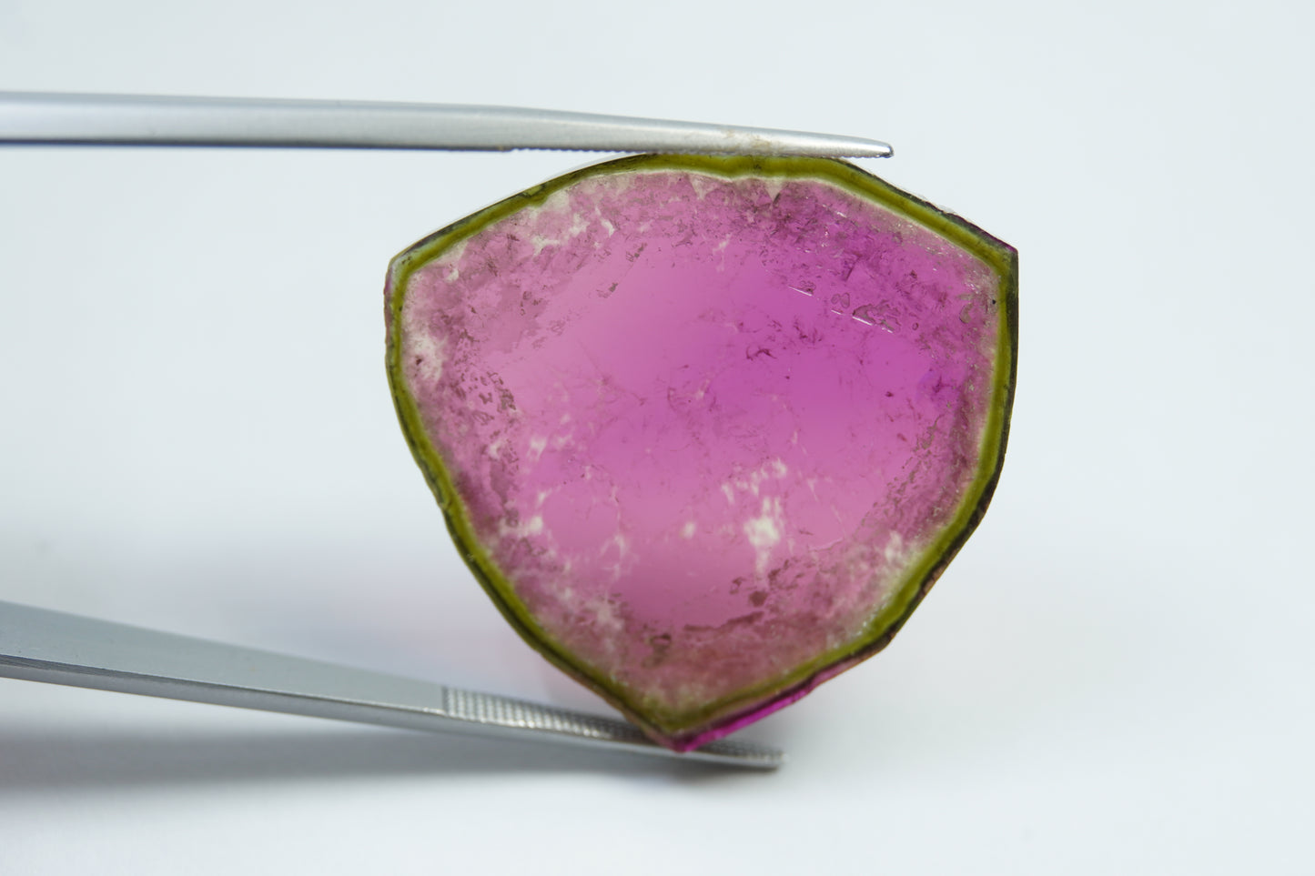 43.20ct Watermelon tourmaline 32x31mm