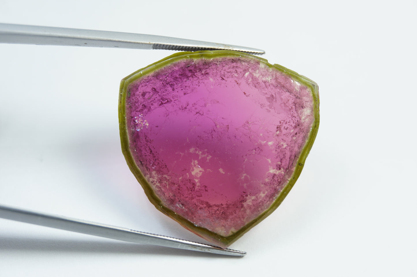 43.20ct Watermelon tourmaline 32x31mm
