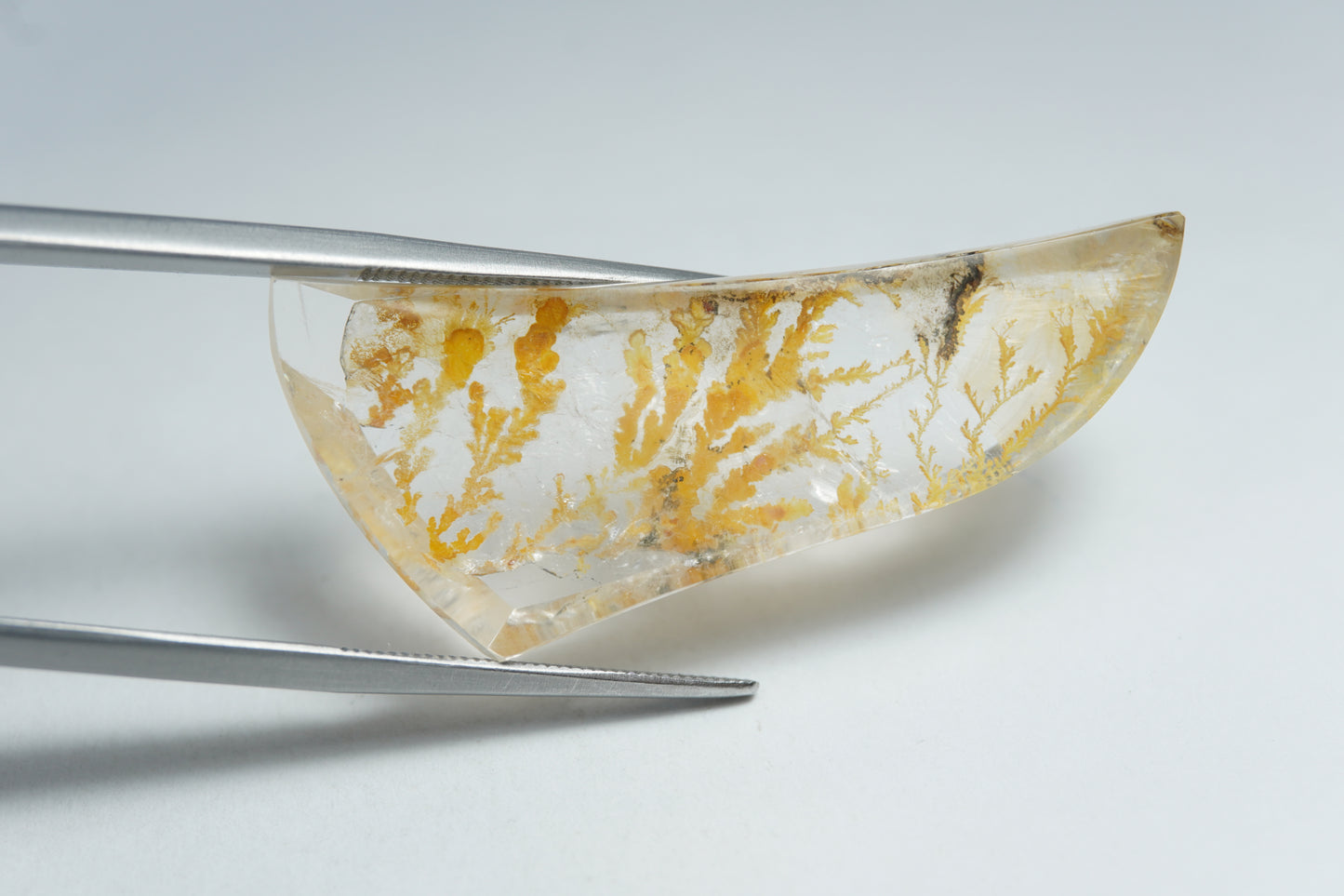 26.68ct Dendrite 39x17mm