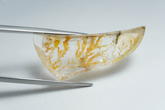 26.68ct Dendrite 39x17mm
