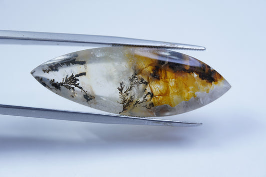 23ct Dendrite 38x13mm