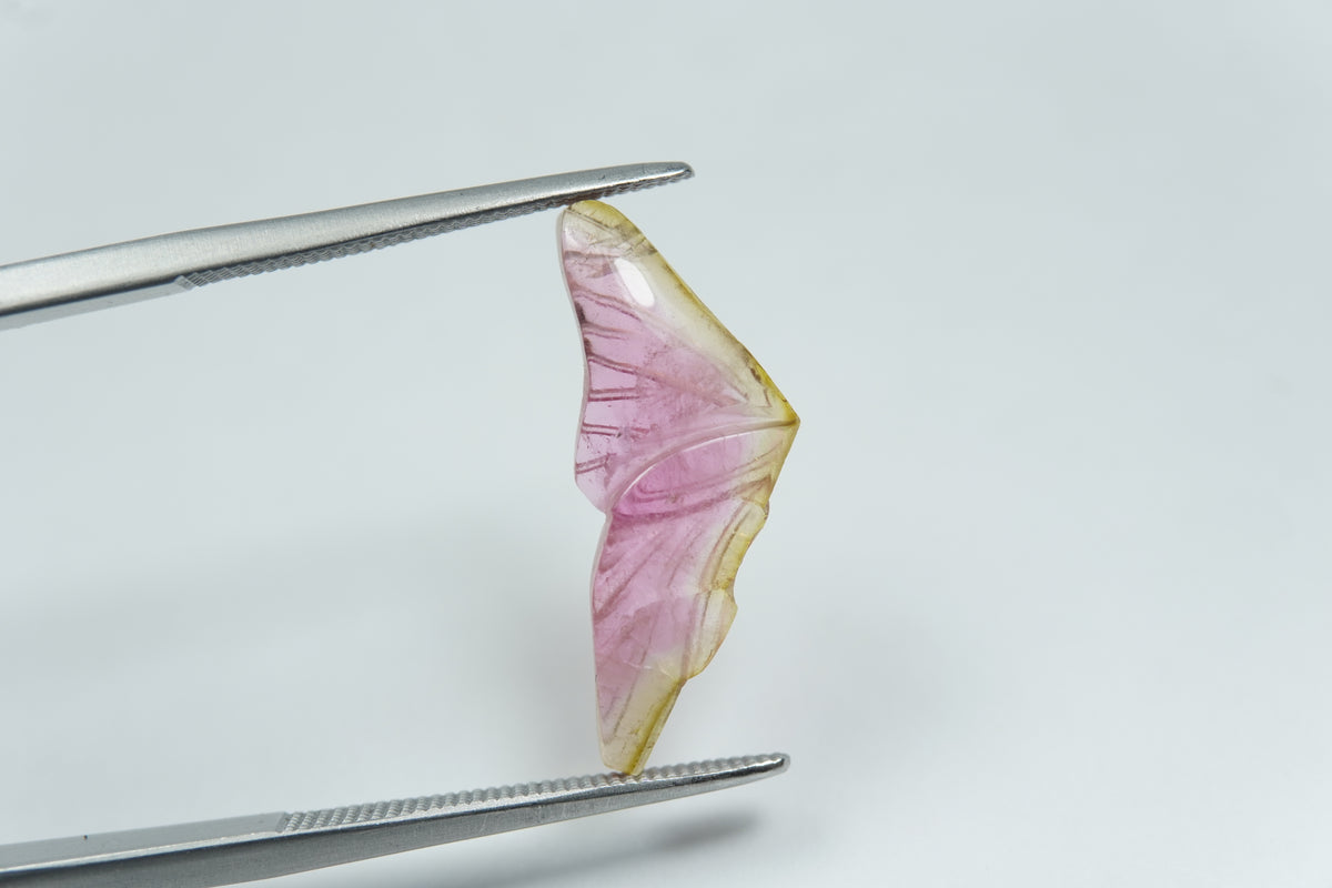 3.54ct Tourmaline bicolor 21x8mm