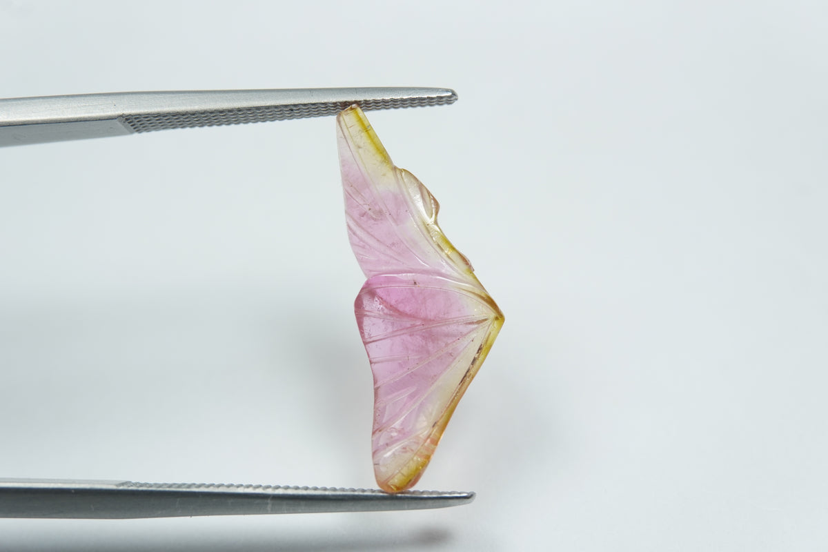 3.54ct Tourmaline bicolor 21x8mm