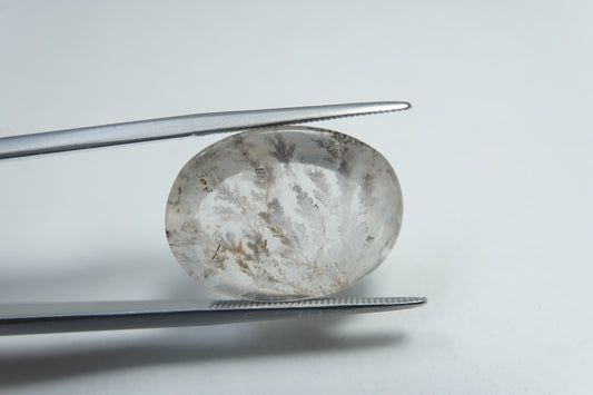 14.20ct Dendrite 20x15mm
