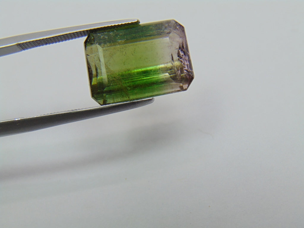 10.65ct Tourmaline Bicolor 15x11mm