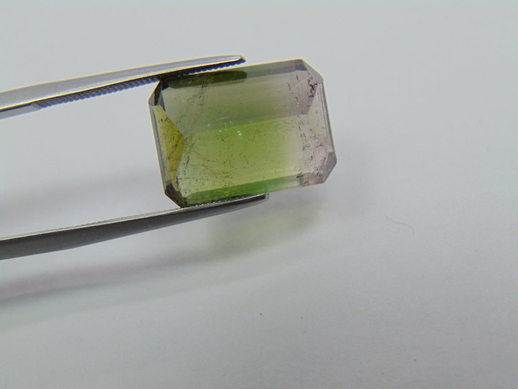 10.65ct Tourmaline Bicolor 15x11mm