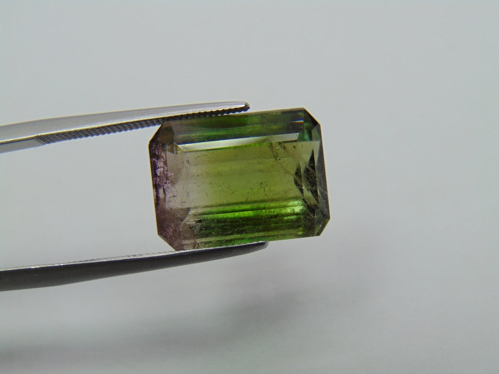 10.65ct Tourmaline Bicolor 15x11mm