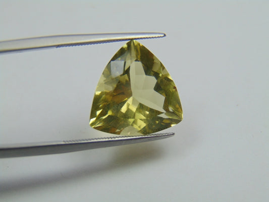 9.50ct Green Gold 15mm