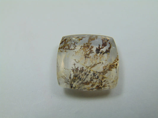 19.20ct Dendrite 19mm
