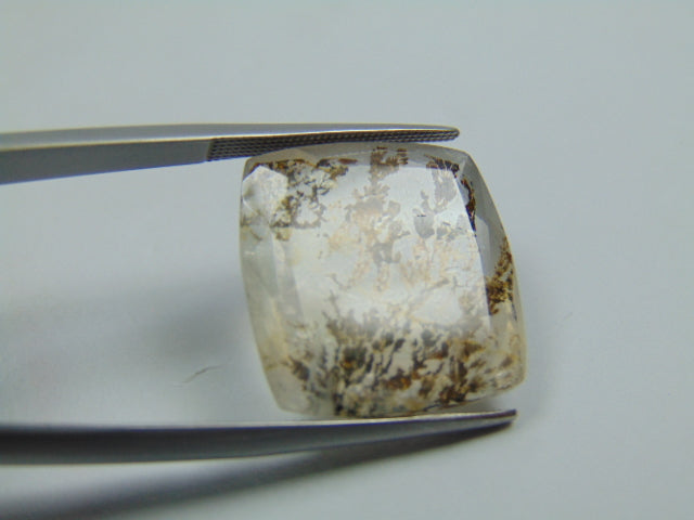 19.20ct Dendrite 19mm