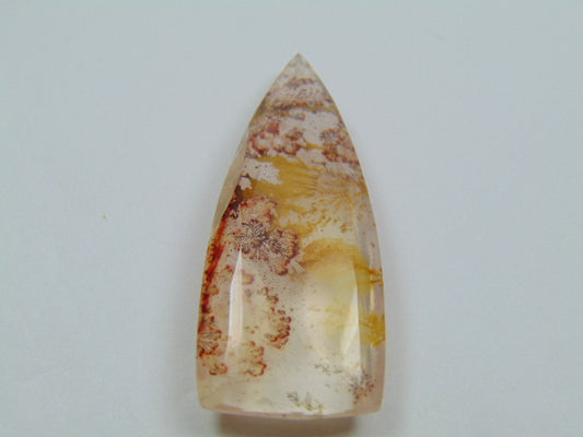 61.80ct Dendrite 48x18mm
