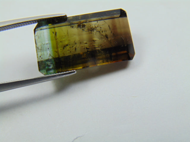 15.10ct Tourmaline Bicolor 20x11mm