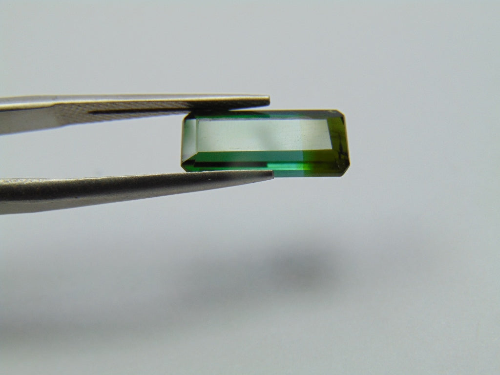 3.40ct Tourmaline Bicolor 13x6mm