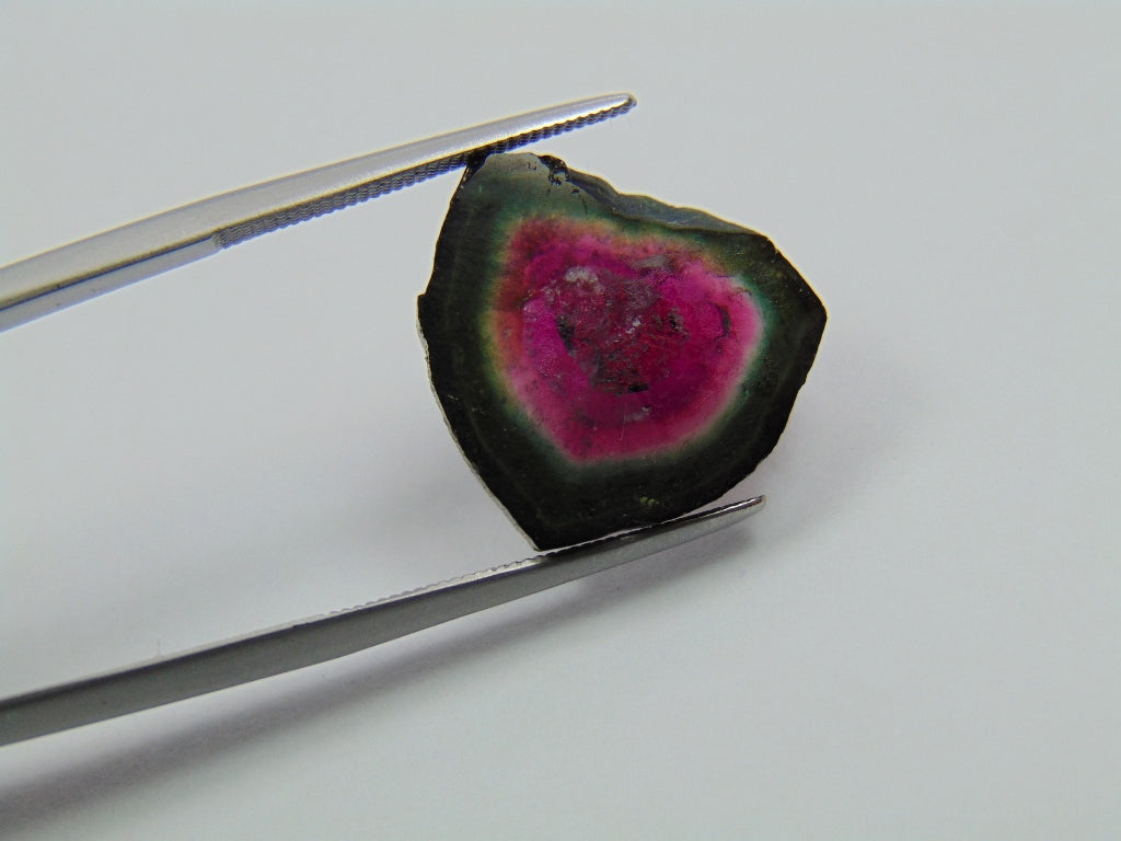 8.15ct  Watermelon Tourmaline 17x16mm