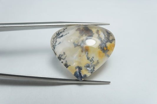 31.15ct Dendrite 24x21mm