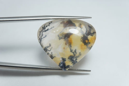 31.15ct Dendrite 24x21mm