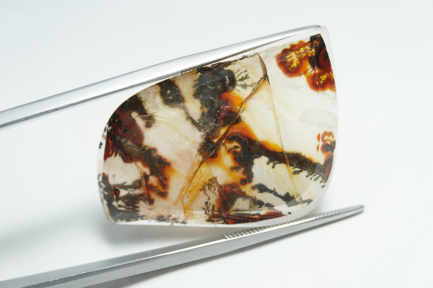 30.70ct Dendrite 34x23mm