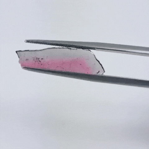 3.65ct Watermelon Tourmaline 23x6mm
