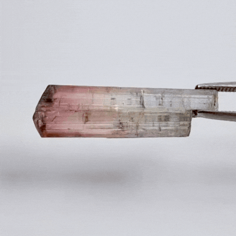9.70ct Tourmaline Bicolor Piece 25x7mm