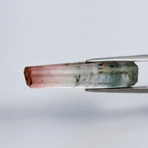 17.25ct Tourmaline Bicolor Piece 32x11mm