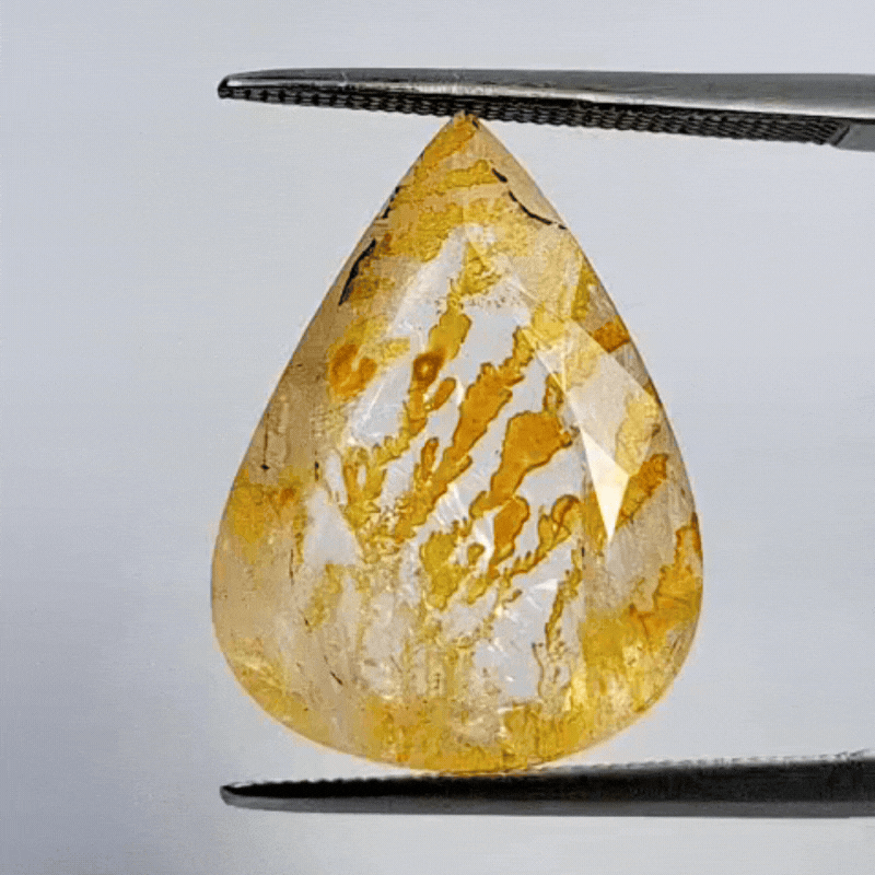 10.10ct Dendrite 20x14mm